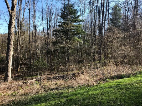 Fletcher Ln, Wellsboro, PA 16901