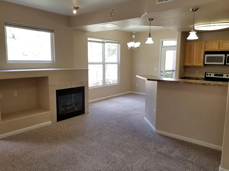 555 Cougar Bluff Point #101 — Photo 10