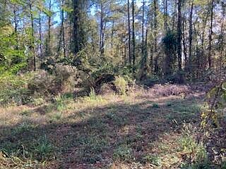 1st image of 120 Grace Ln