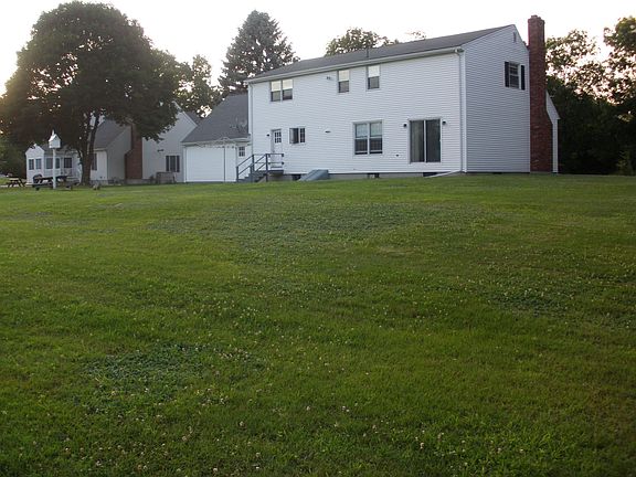back yard