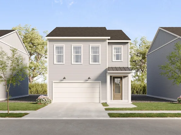 Zinnia Plan, Wildflower