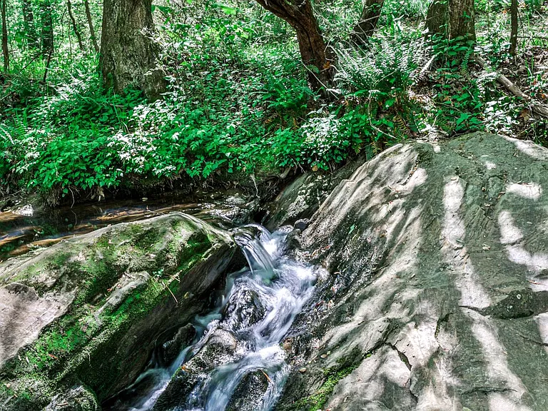 Picture perfect stream running through park within walking distance of the home. Perfect for families with young children.