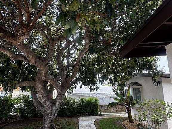5th image of 1720 Elsinore Cir