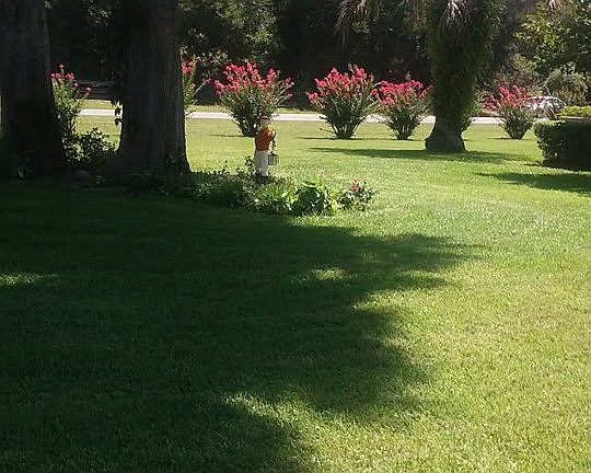 MEADOW RIDGE 3_06232016