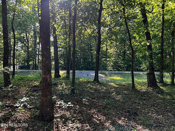 2nd image of Lakeview Ln #304