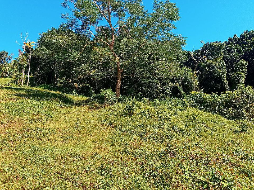 Barrio Mamey 1, Guaynabo, PR 00971 Zillow