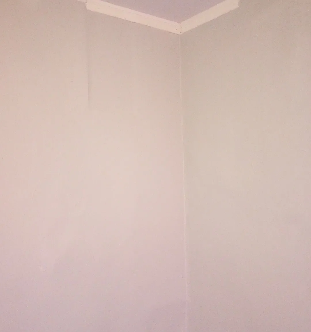 2 bed, 1000 sqft, $750 — Photo 2