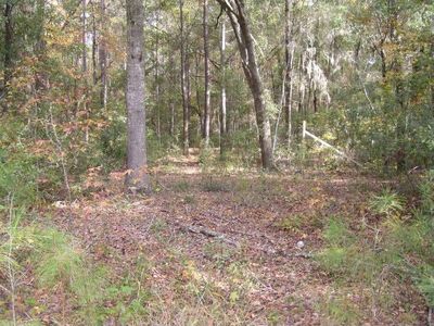 81 Mroz Rd, Beaufort, SC, 29906