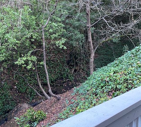 View from deck