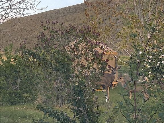 2nd image of 87 Applejack Road