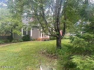 5th image of 233 Spruce St