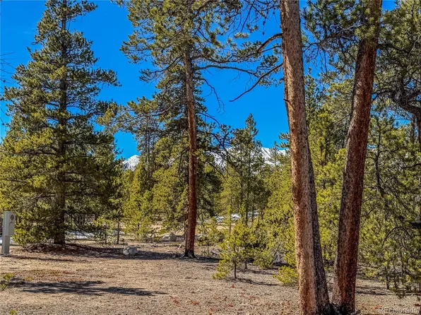 199 Cedar Drive LOT 182, Twin Lakes, CO 81251