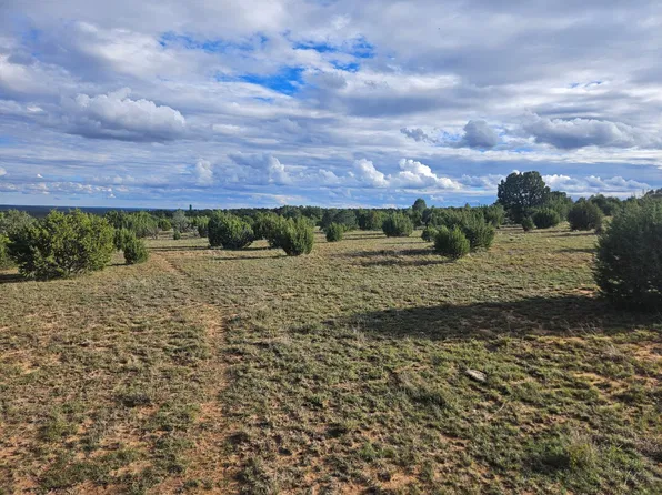 6240 County Road B28a, Ribera, NM 87560