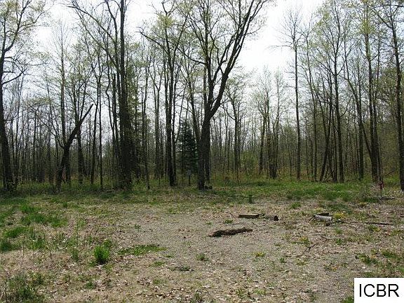 3rd image of 50481 County Road 193