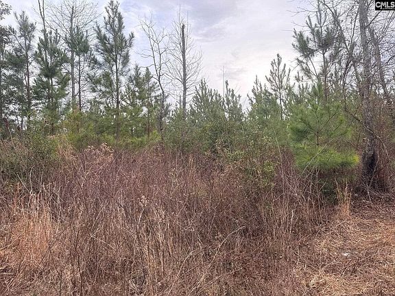 4th image of Qbf 9 Quattlebaum Rd #Qbf-9