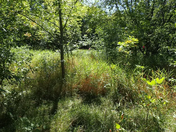 65th St SW, Howard Lake, MN 55349