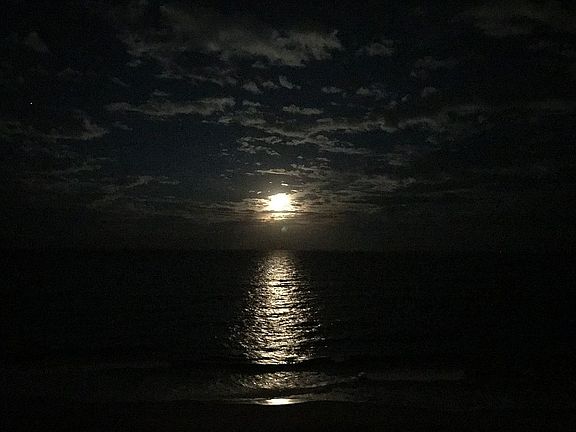 4th image of 2195 Highway A1a APT 503