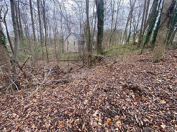 5th image of 6 Teaberry Ct