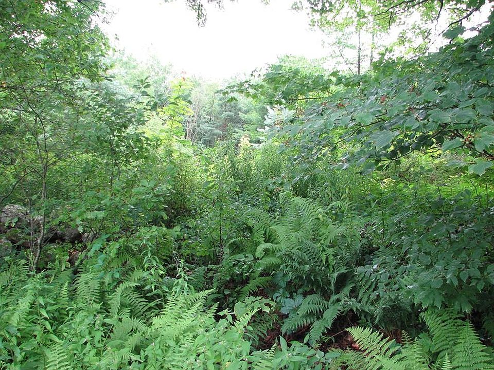 2nd image of 137 Teel Rd