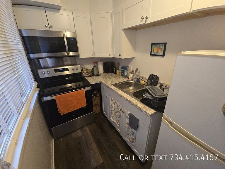 906 Packard St #3 — Photo 22