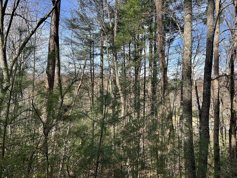 2nd image of 0 Downings Creek Ln