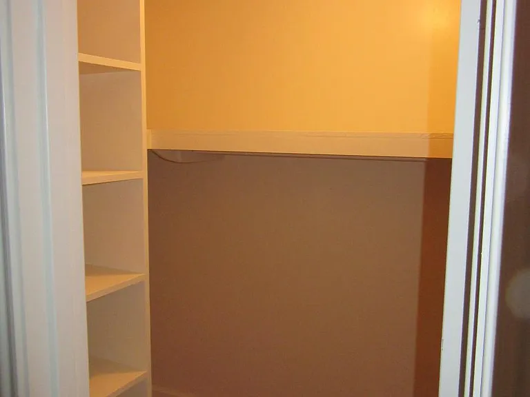 Master Walk in Closet