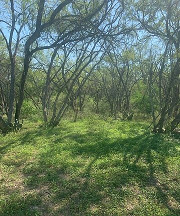 2nd image of 2512 County Road 233