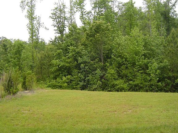 Huge Private Wooded Backyard