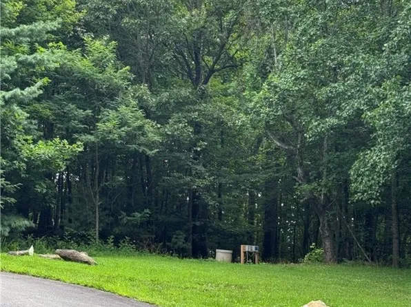 TBD Ivy Ridge Road, Deep Gap, NC 28618