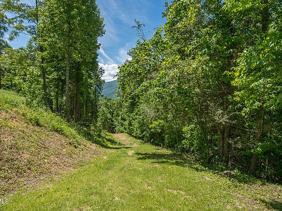 5th image of 4 Ridgetop Ln