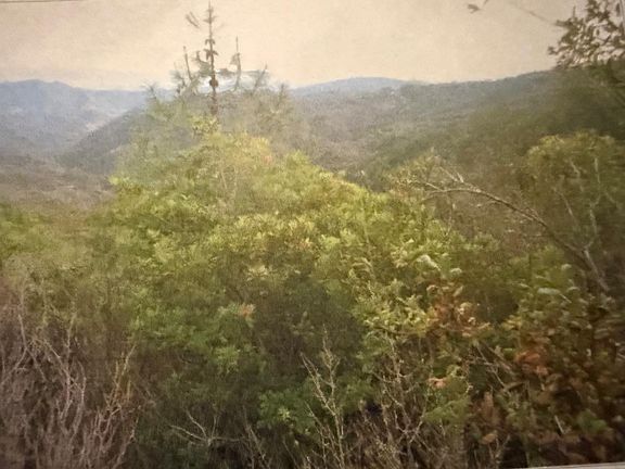 4th image of 0 Croy Ridge Rd
