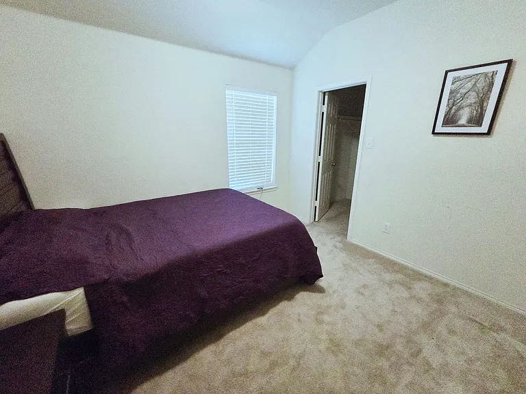 1005 Salt Creek Trl — Photo 14