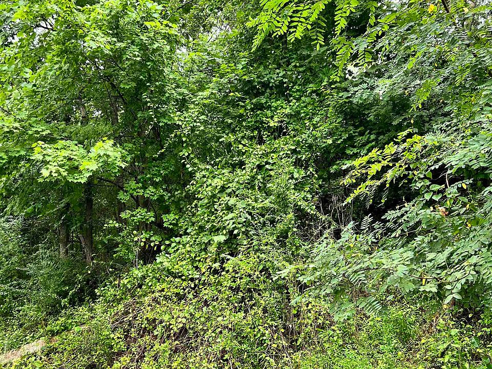 2nd image of 1662 Cook School Rd