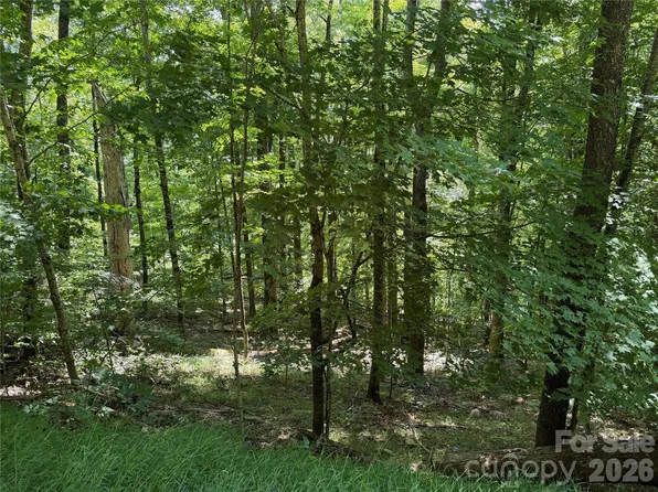 0 Chestnut Village Vlg, Mars Hill, NC 28754