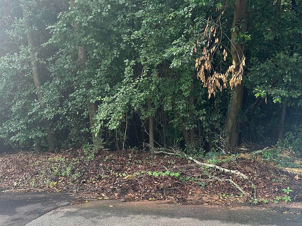 2nd image of 94 Tiffany Ln