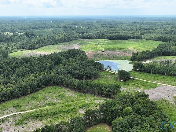 4th image of 10.97 ACRE Tomlinson Rd
