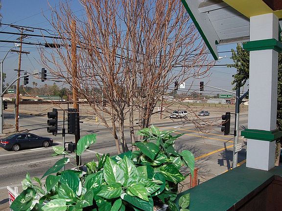 View from Upstairs Balcony