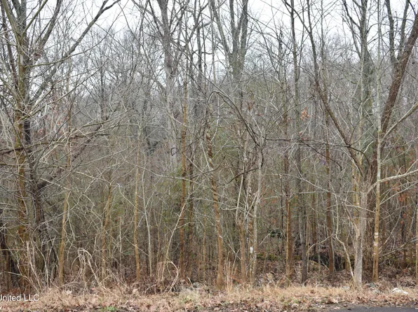 102 Ridgewood Cv #54, Coldwater, MS 38618
