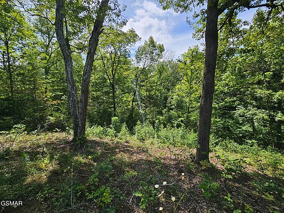 3rd image of 6-7 Pleasure Rd #9