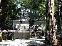24200 Appaloosa Way photo 1