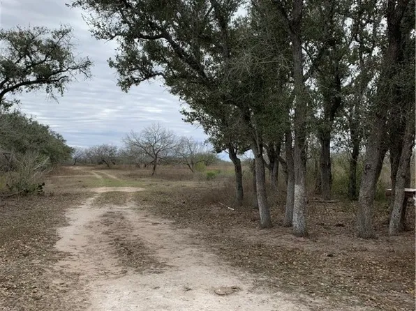 8911 Us Highway 59 S, Goliad, TX 77963