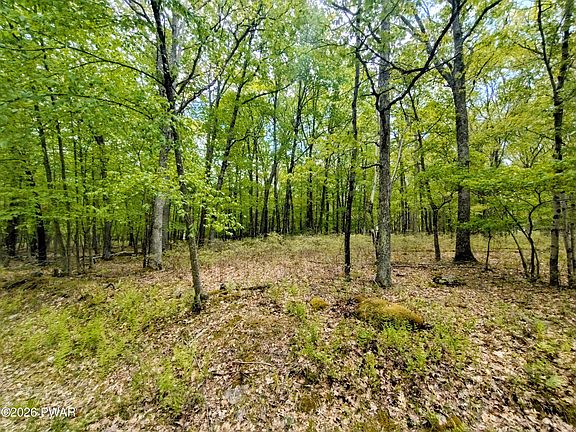 4th image of LOT 1642 Gwinnett Rd