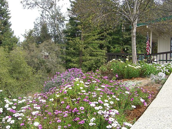 Front deck overlooking flowers and fruit trees