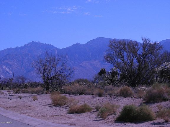 5th image of 11844 N Mesquite Sunset Pl