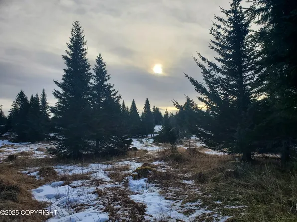 67609 Shavila Rd, Ninilchik, AK 99639