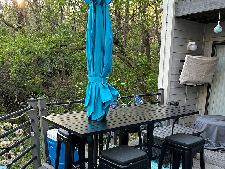 Owls Cove Ln — Photo 16