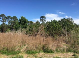 135 Sycamore Sunshine Ln, New Smyrna Beach, FL 32168