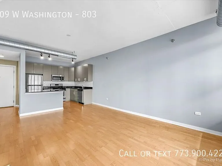 909 W Washington #803 — Photo 10