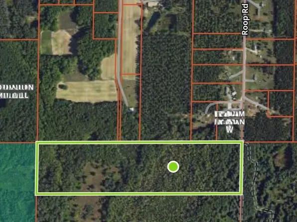 Roop Rd, Kingsley, MI 49649