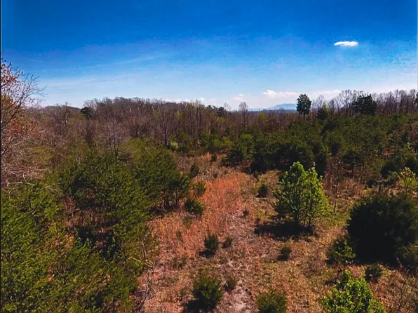 317 Mountain View Dr, Vonore, TN 37885